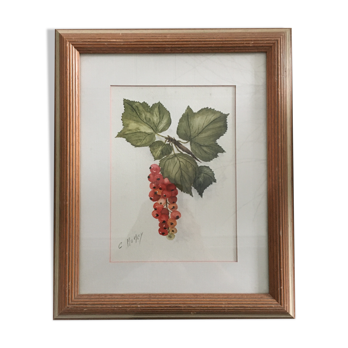 Aquarelle grappe de groseilles