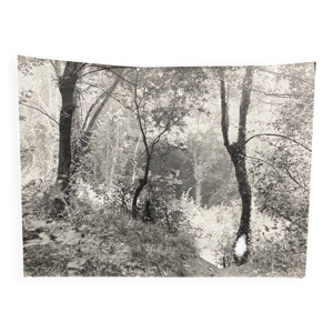 Photographie argentique - bernard