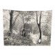 Silver gelatin photograph by Bernard Darot, Undergrowth, 20th century