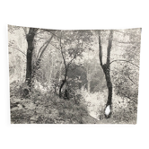 Photographie argentique Bernard Darot "Sous-bois", XXe s.