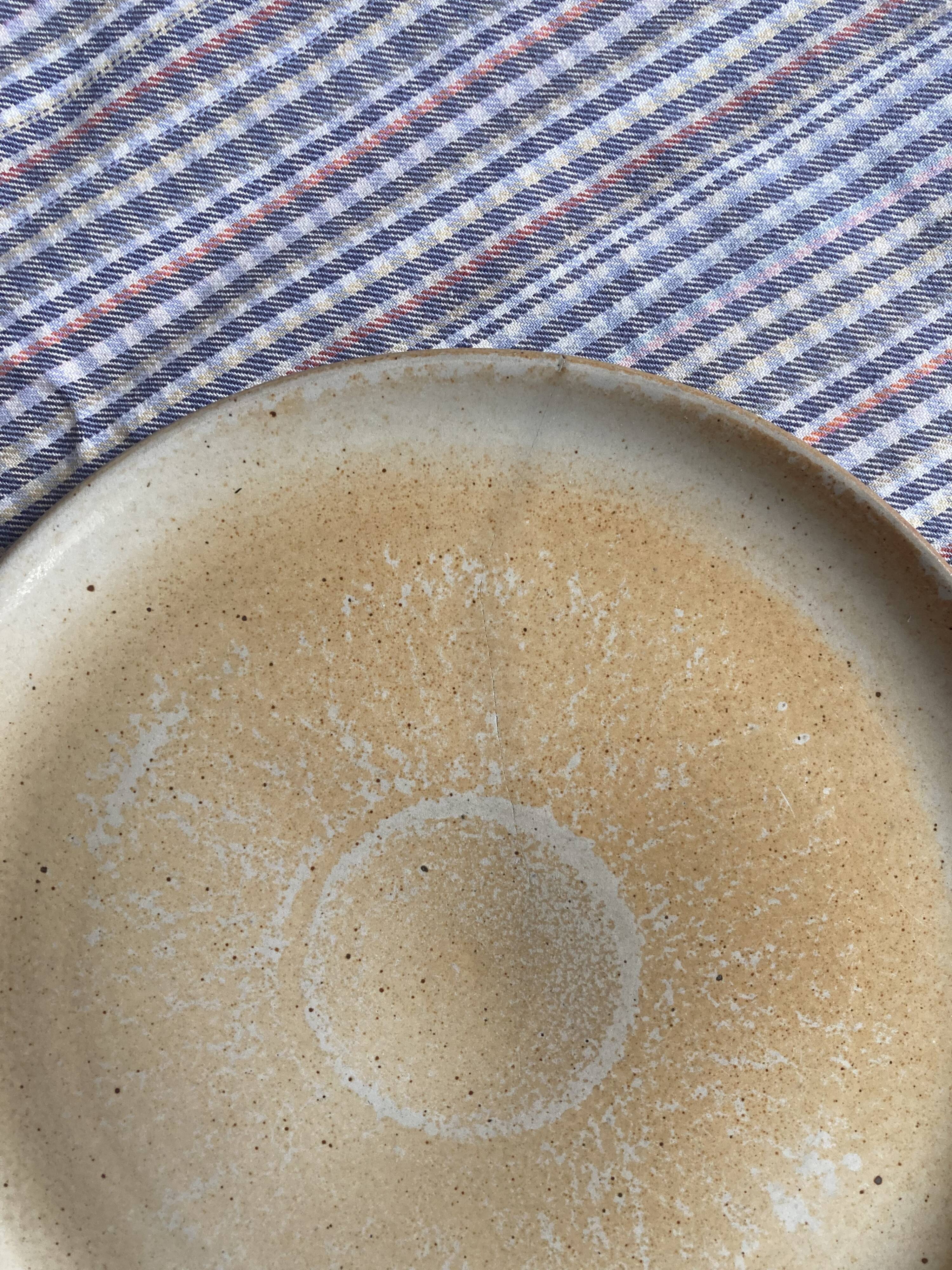 Flat plates in marshes stoneware paris