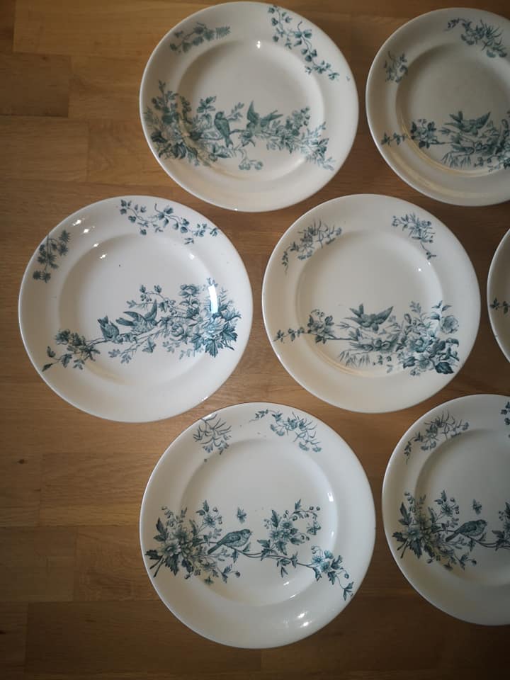 Lot 10 round plates old earthenware longwy Cute birds iron earth ø 23 cm
