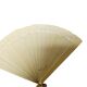 Art Nouveau Polish celluloid fan, 1900s