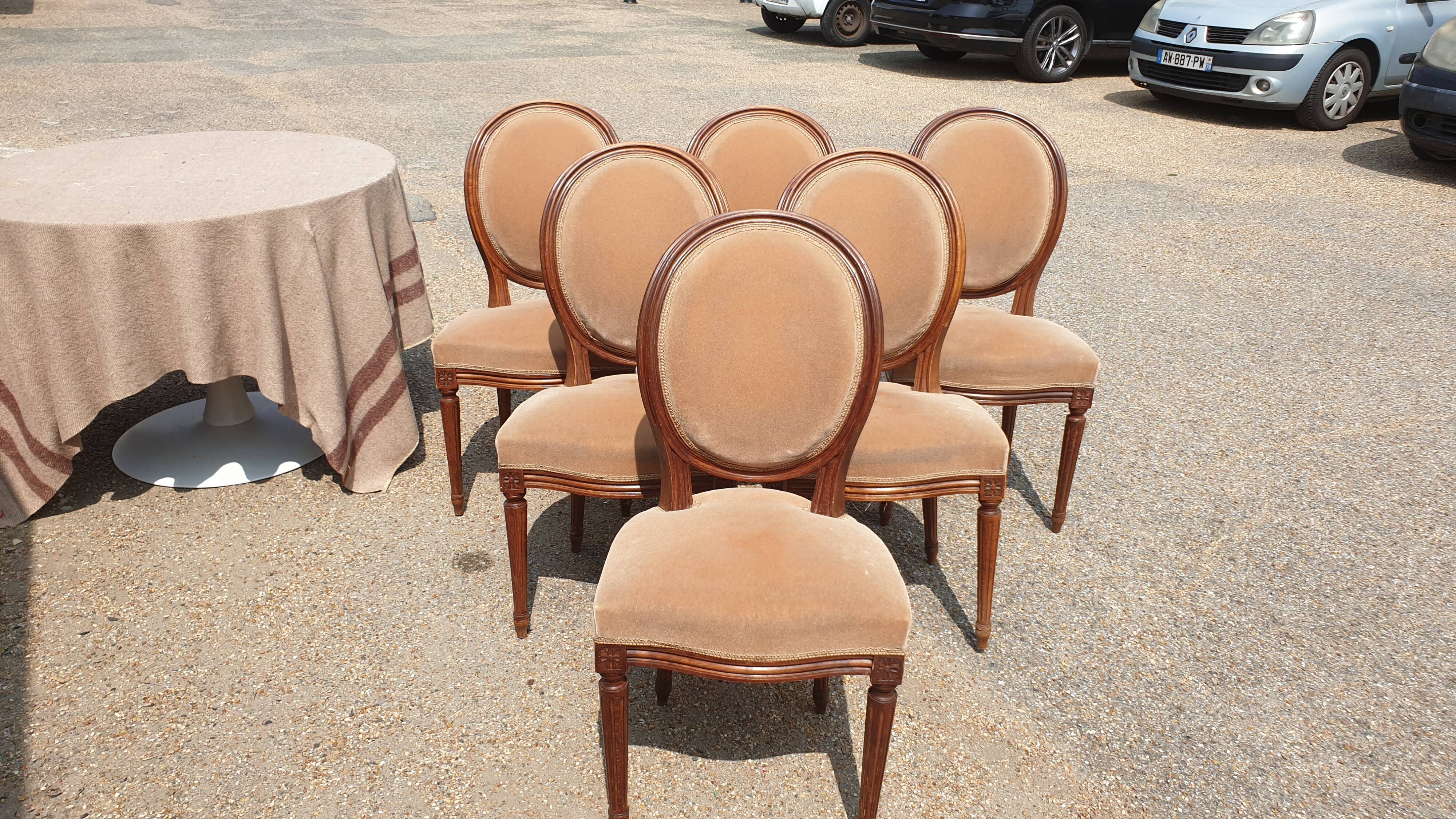 6 Louis XVI medallion chairs