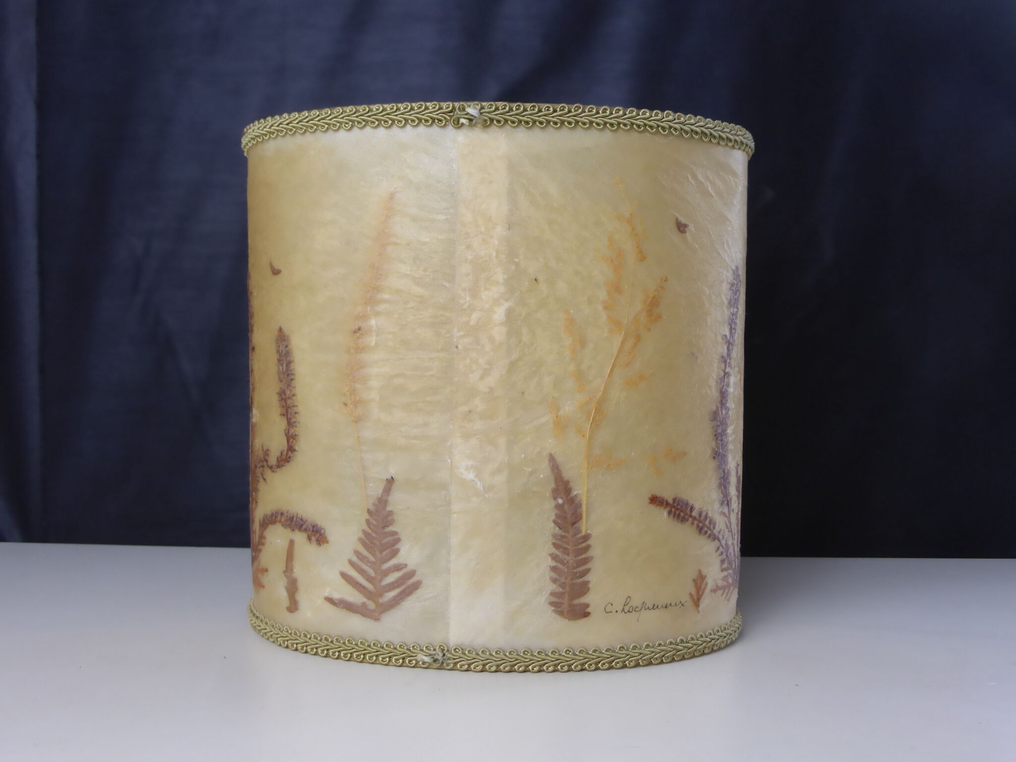 Vintage herbarium lampshade signed C. Loqueneux