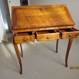 Secretary back of donkey in cherry with writing