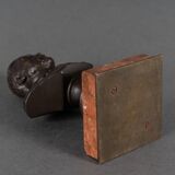 Bronze bust of Pasteur 19th century with chocolate patina on marble base