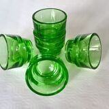 Lot of 5 cockroaches