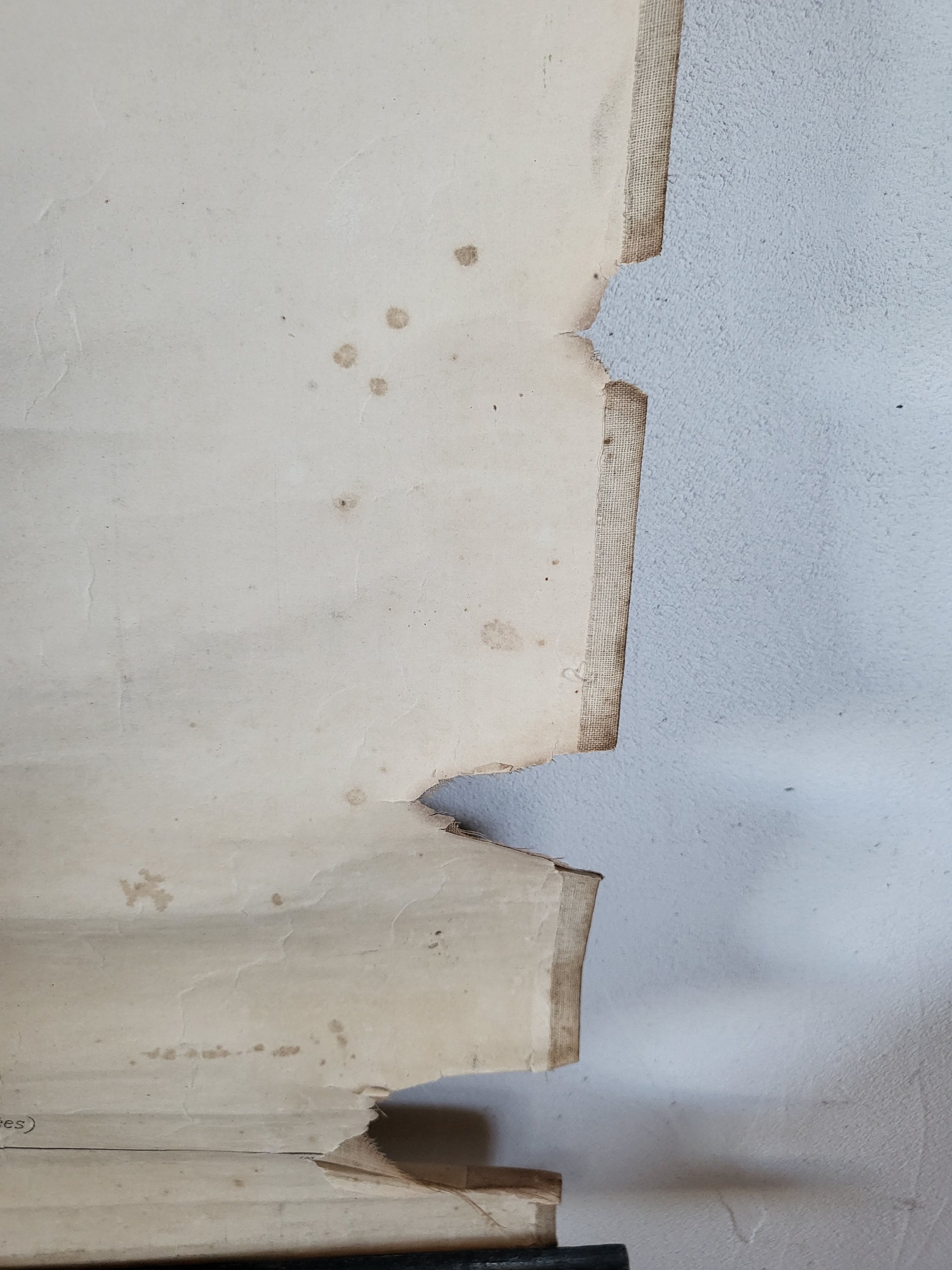 Old Deyrolle educational poster