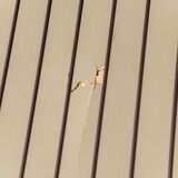 Divano vintage 3 posti dormeuse  anni ’50 modernariato