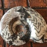 Ceramic shell paper press