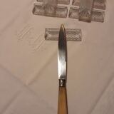 Hatch of 12 knives handle in horn and stainless steel blade