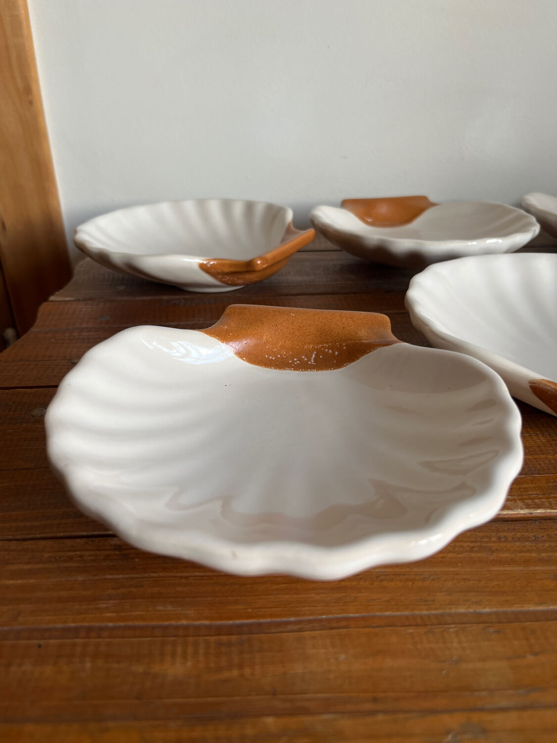 6 shell-shaped bowls