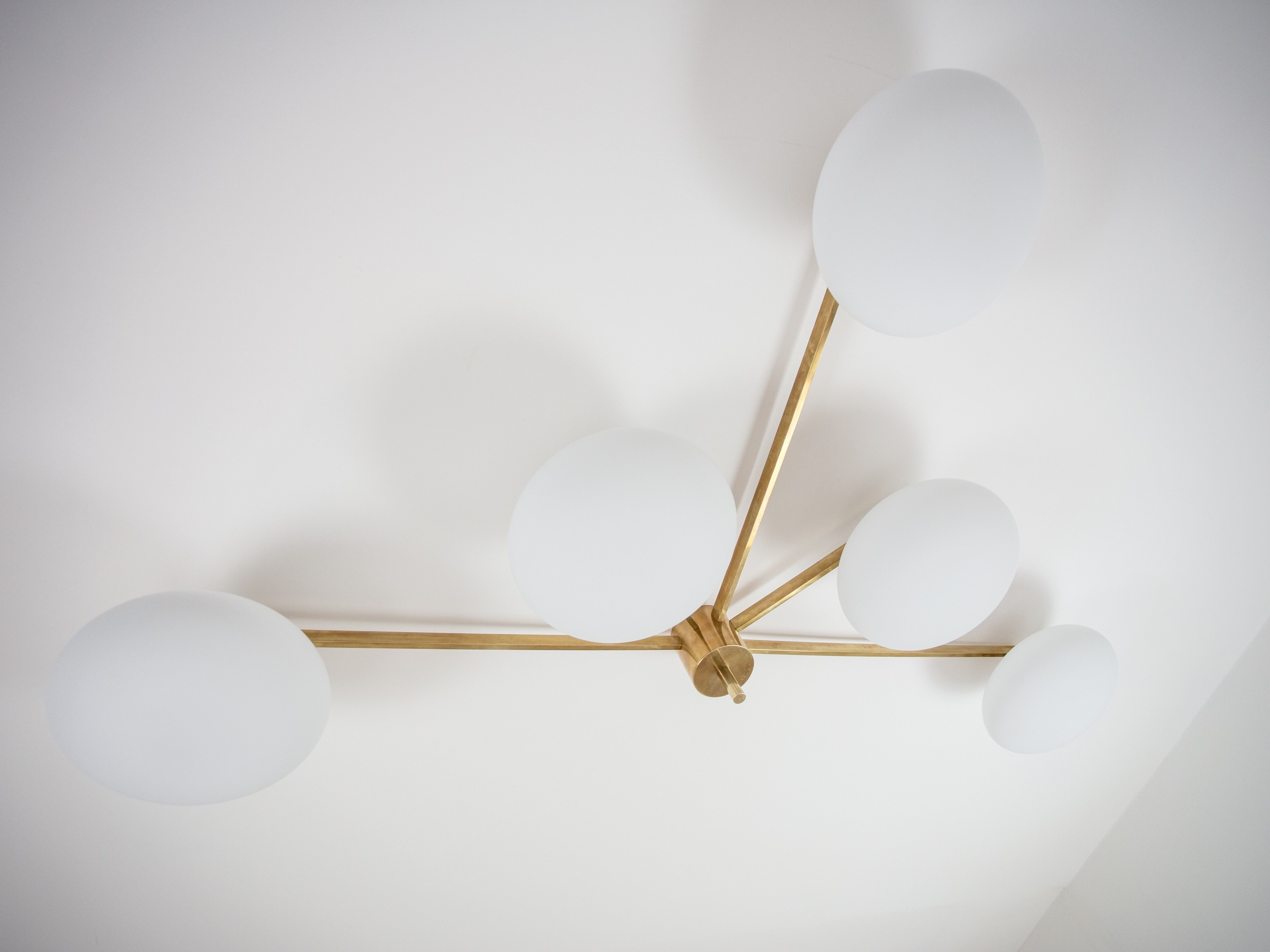 Fan stella collection