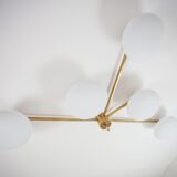 Lustre stella collection
