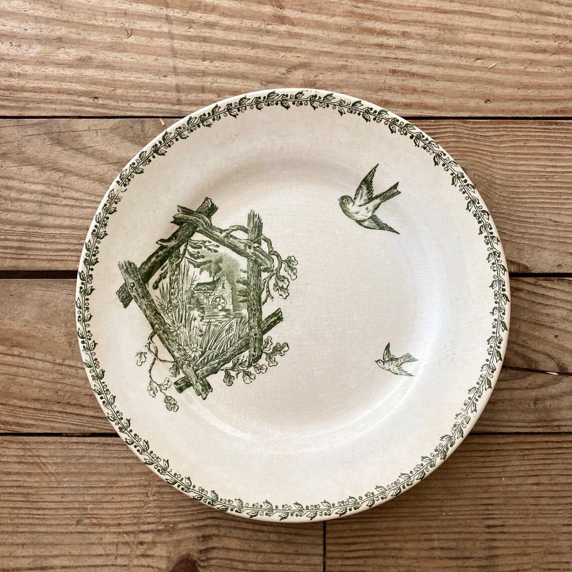 Mismatched cottage iron earth plates