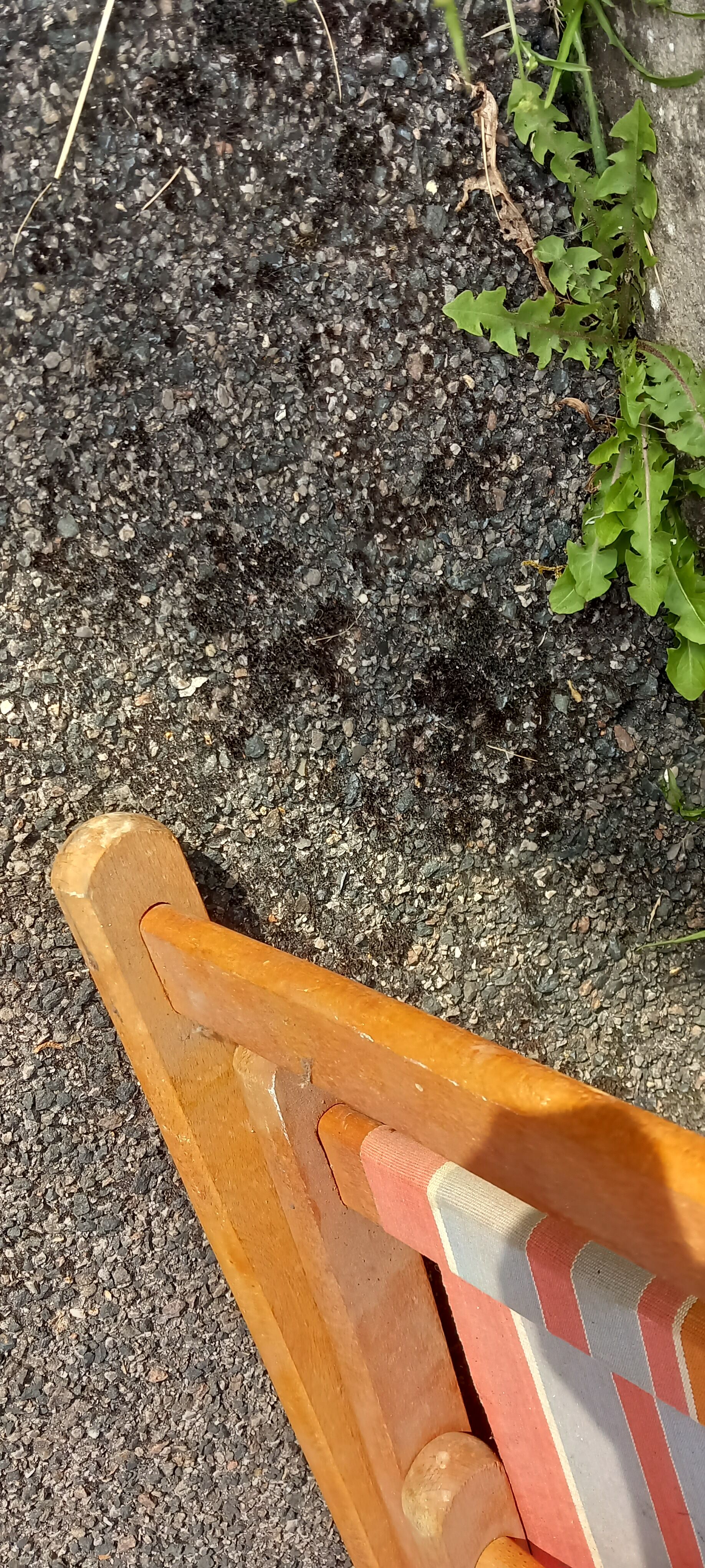 Deck chair, Chilean vintage orange tone