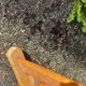 Chaise longue, chilienne vintage ton orangé
