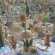 Wrought iron flower chandelier