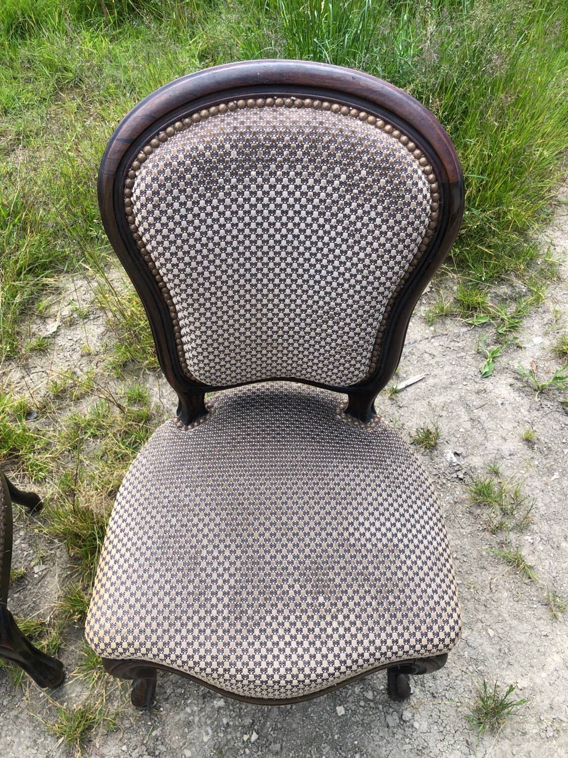 Pair of rosewood medallion chairs