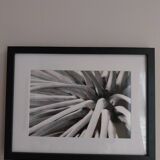 Original photo print numbered and signed by the artist