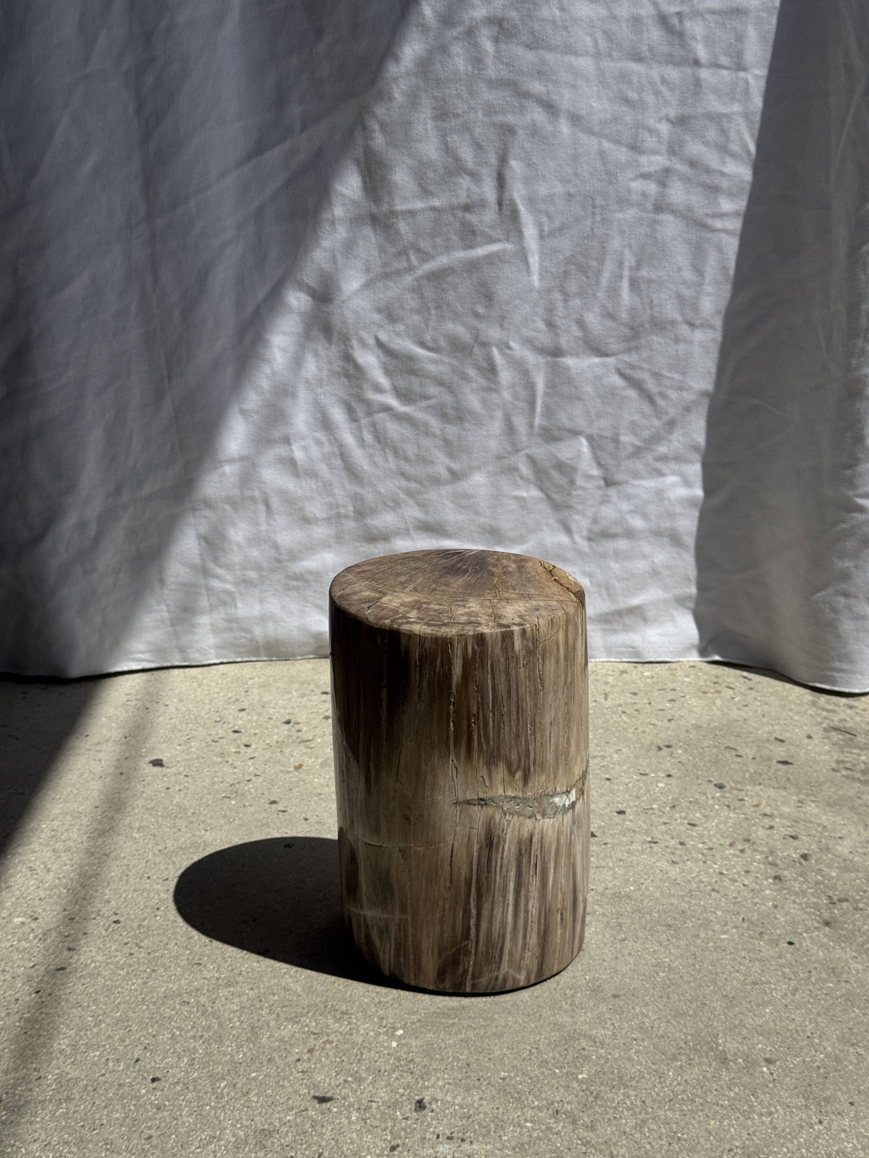 Petite table d'appoint en bois pétrifié beige gris H28 D18 - 3325