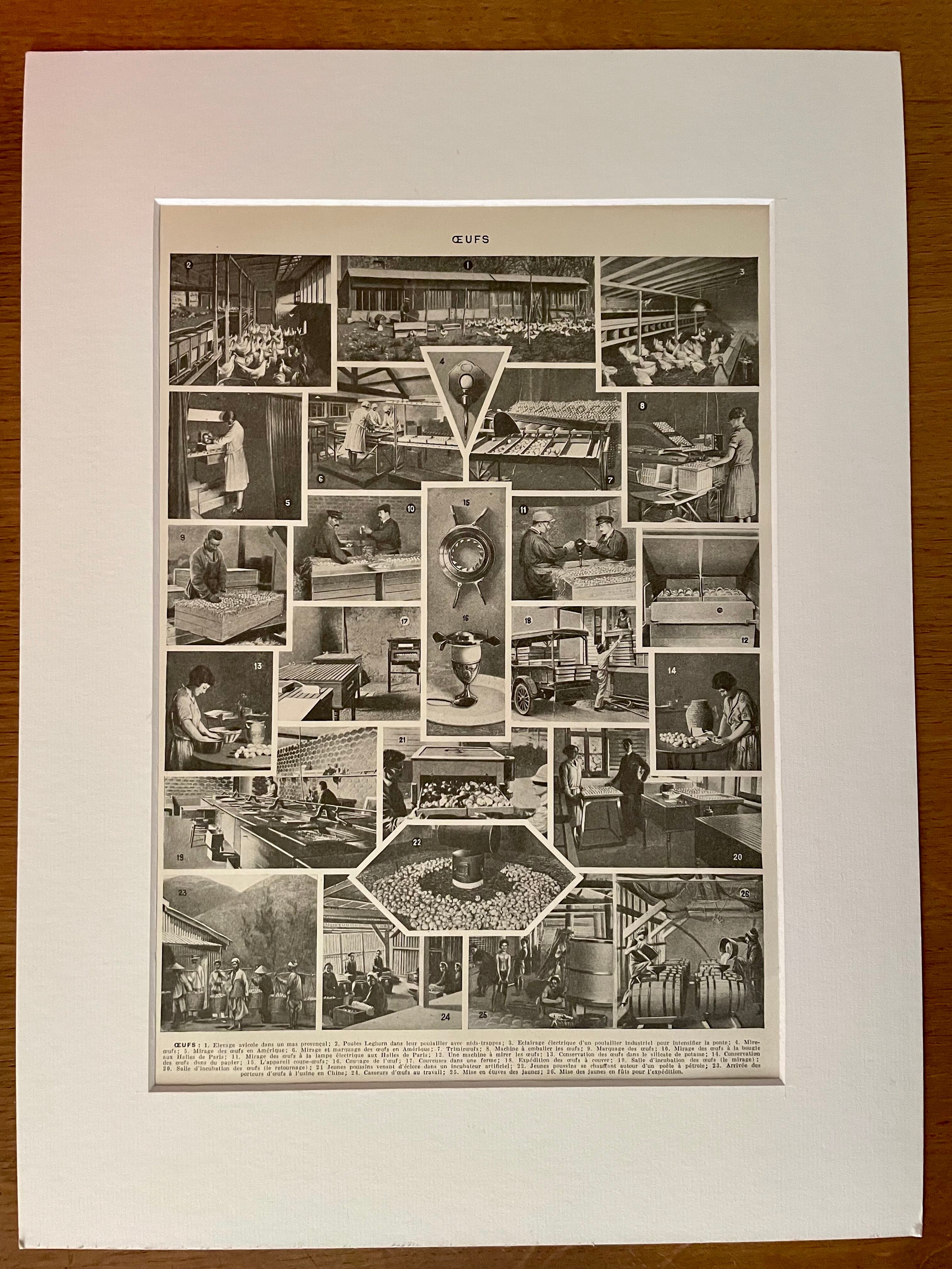 Lithograph on eggs - 1920