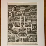 Lithograph on eggs - 1920