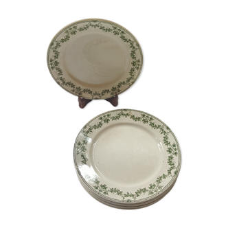 8 assiettes plates Champagne Salins