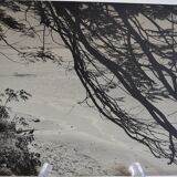 Anonymous silver photo africa beach sea circa 1970