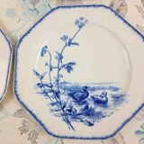 6 Assiettes plates octognales BWM et Cie. Variété