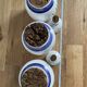 Biot earthenware lot of five pieces Corsican edition, very rare.