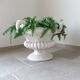 Paolo Marioni coupe / table foot / decoration / container with silk ferns