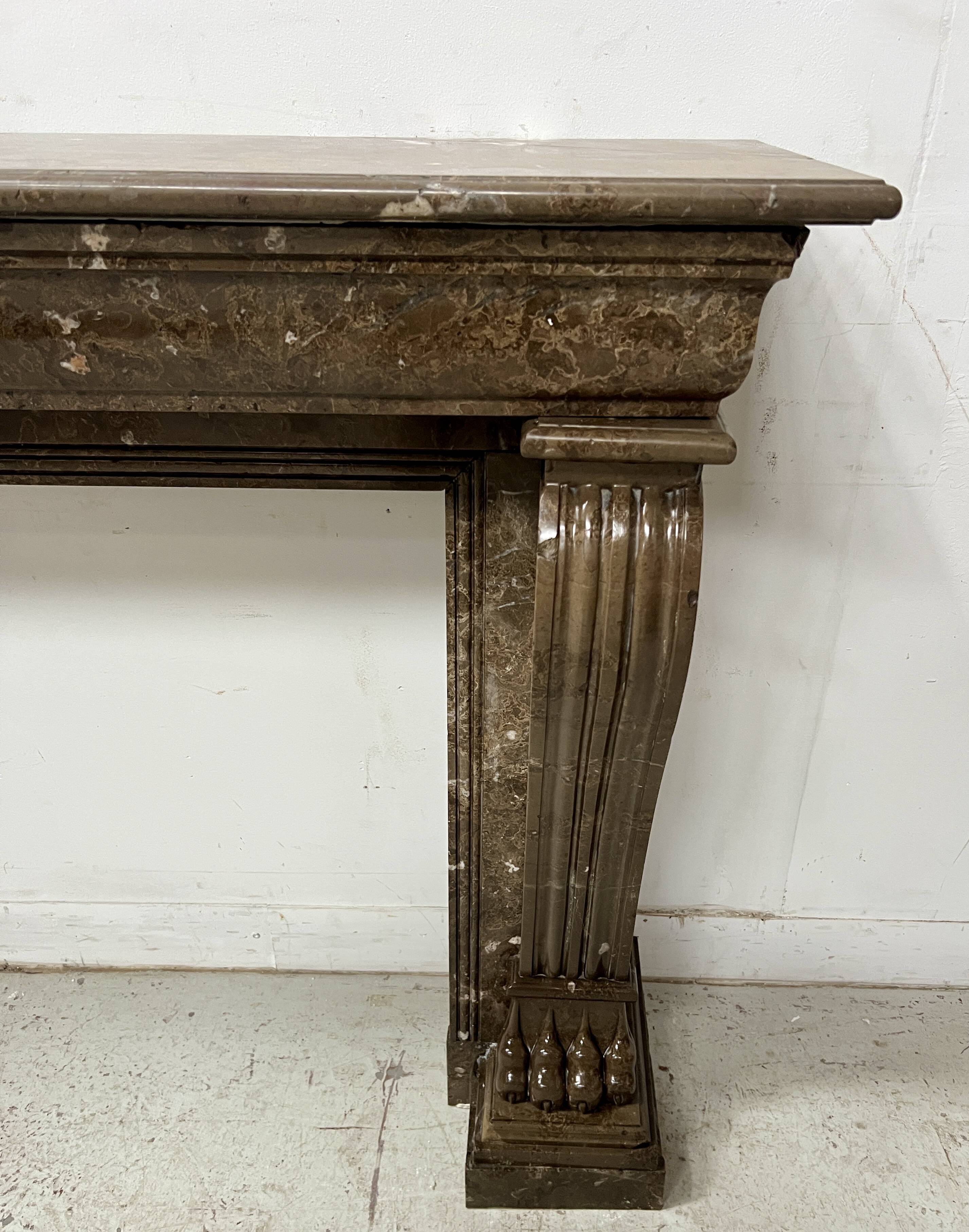 Napoleon III fireplace with claw feet in speckled marble, 19th century.