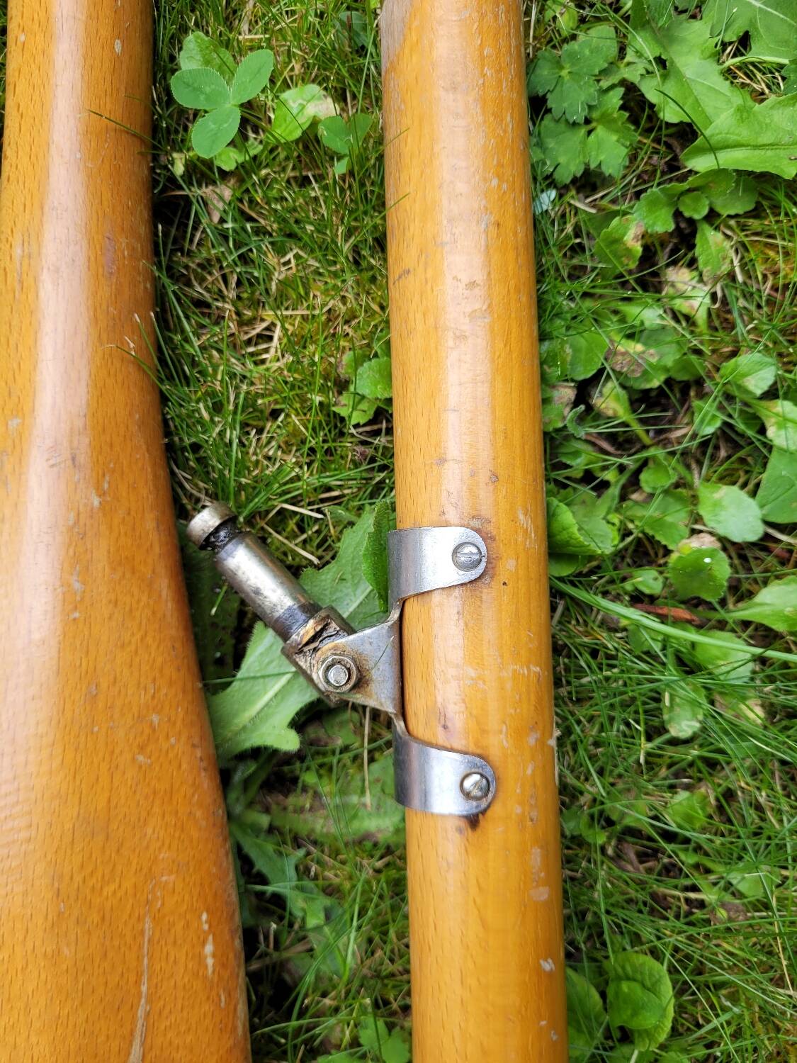 Pair of wooden oars