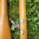 Pair of wooden oars