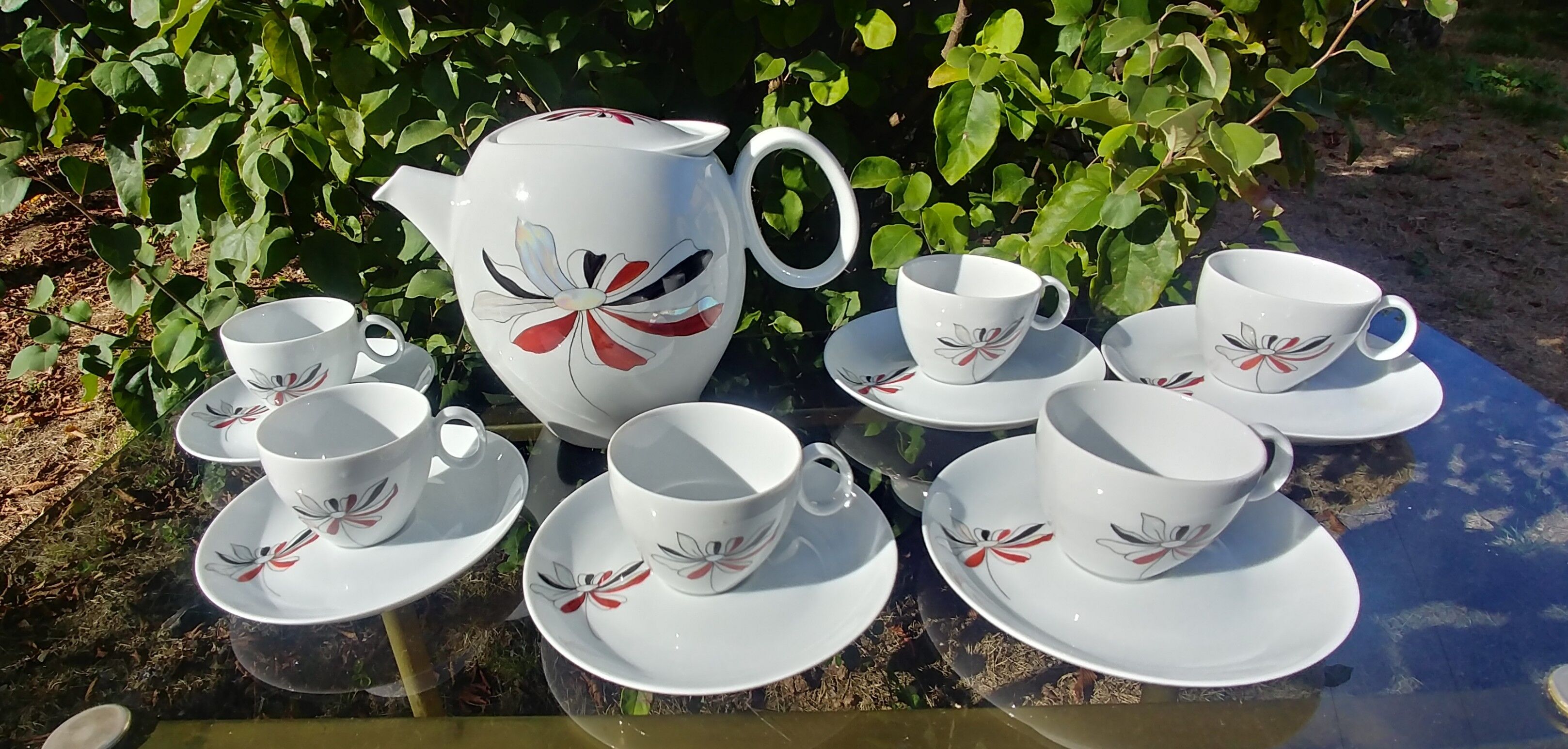 Coffee porcelain service -old signed Roussel J. decoration daisy