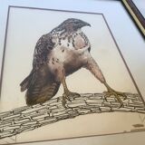Ancien cadre rapace oiseau