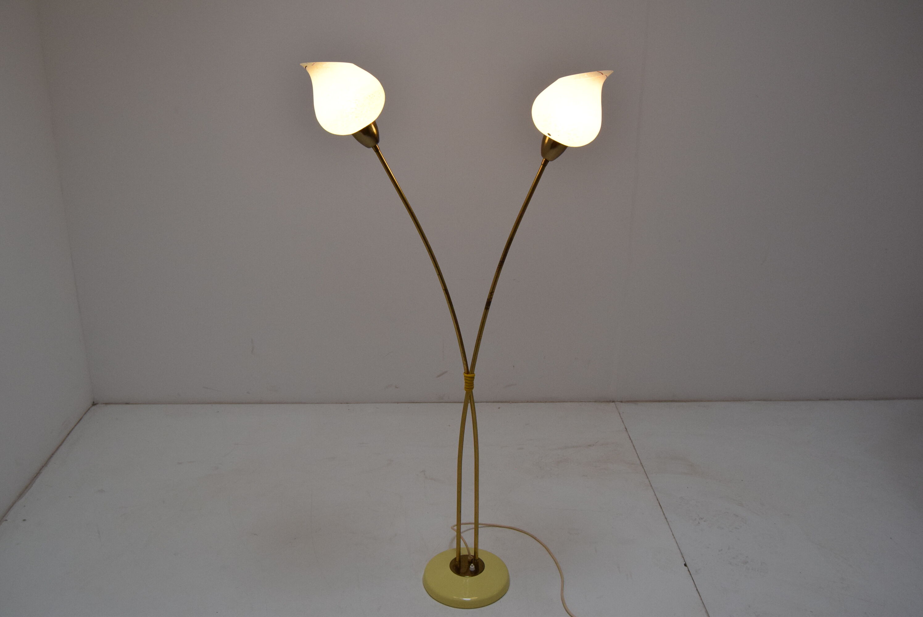 Mid-century Floor Lamp by  Kamenicky Senov,1950‘s.