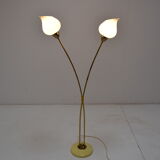 Mid-century Floor Lamp by  Kamenicky Senov,1950‘s.