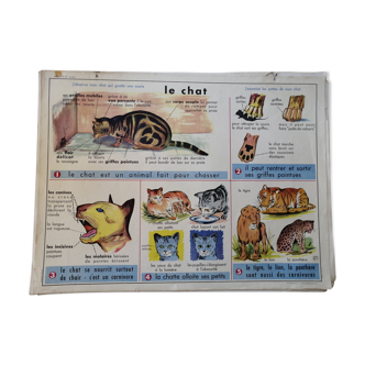 Rossignol educational poster