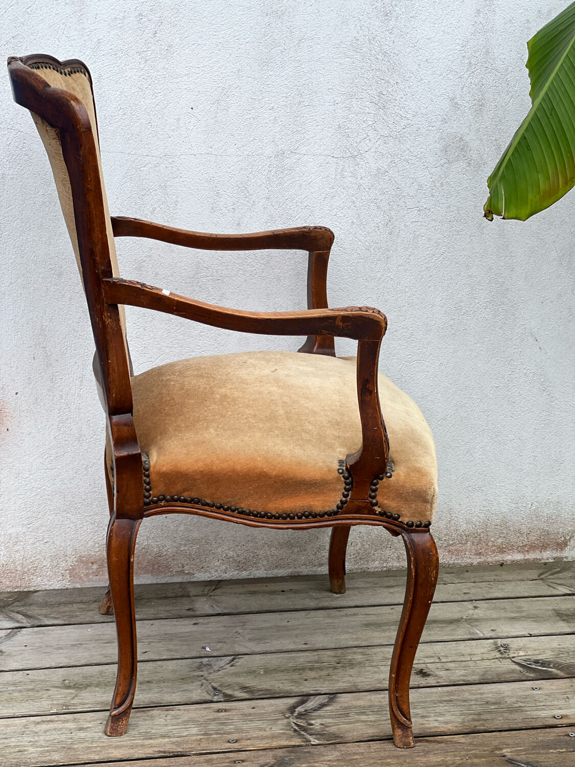 Louis XV Bergère