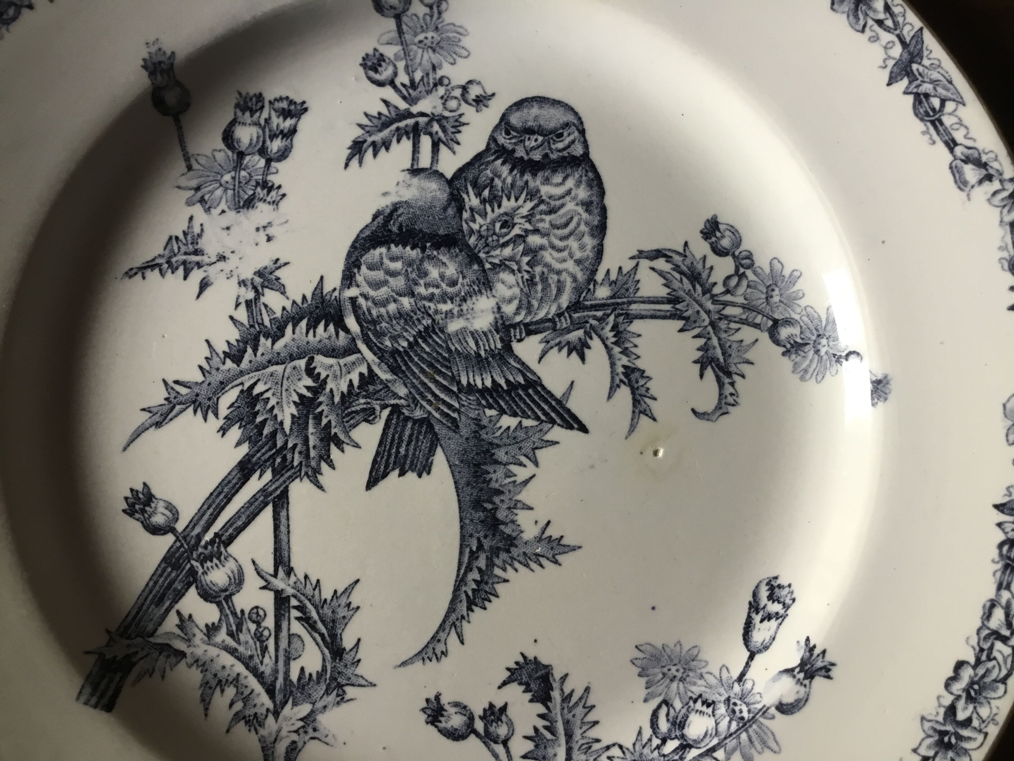 Plate Terre de fer Chardonnerets