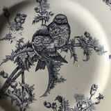 Plate Terre de fer Chardonnerets