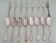 Set of spoons and forks for 8 people - Frionnet