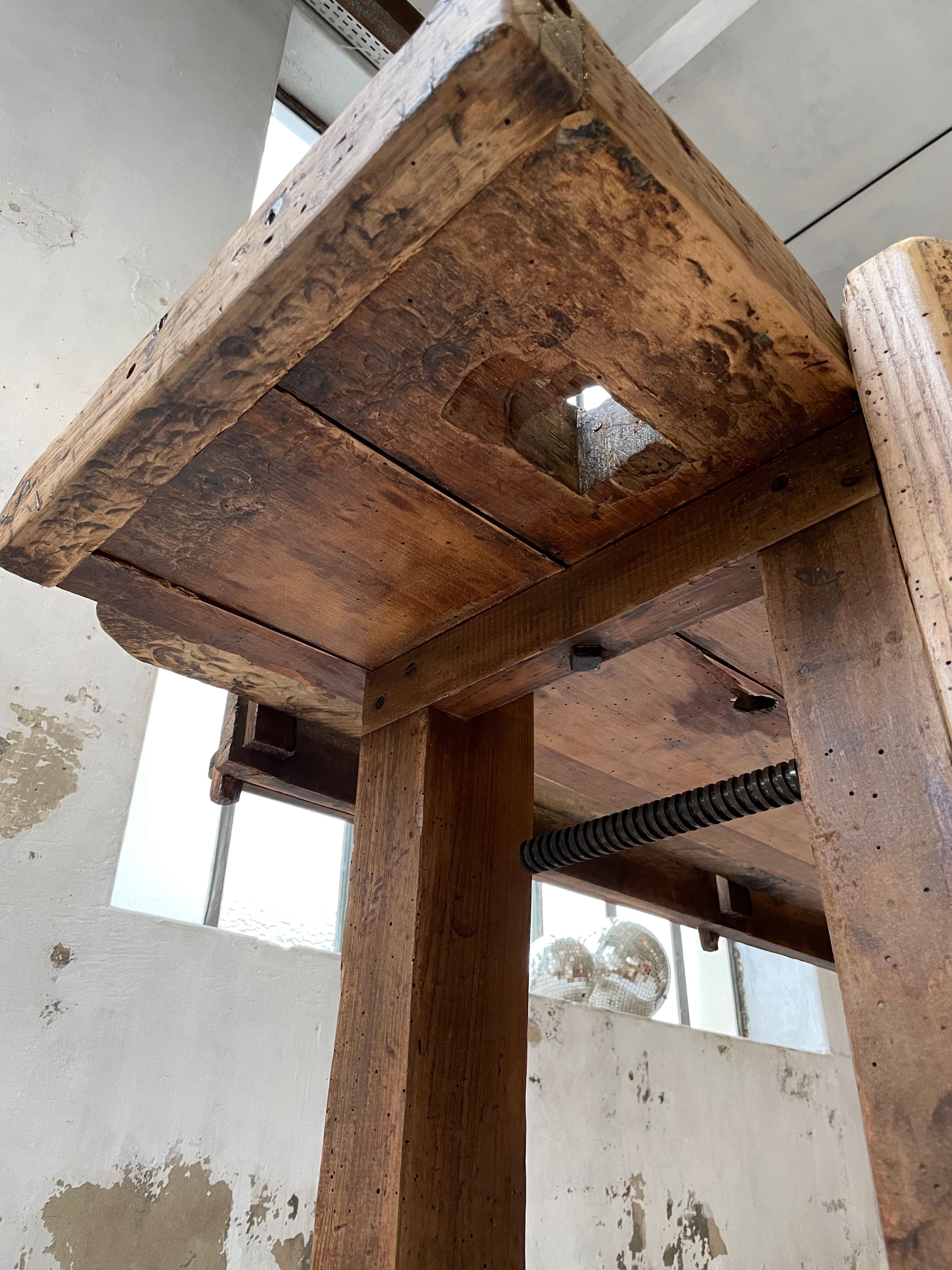 Established old oak XL