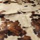 Vintage cowhide carpet 1970 2m30x1m90