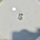 ceramic plate Gien
