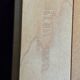 Philippe Hurel Senate Office