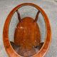 Table basse ovale en bois massif et verre, années 90